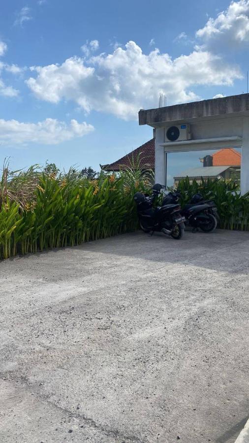 Bruann 2 Seseh Perenenan Amazing Views Villa
